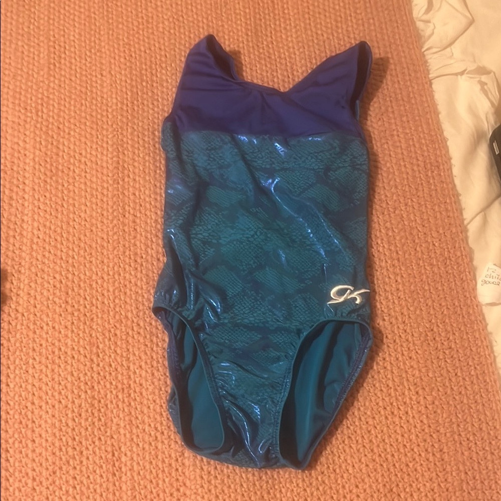 Blue and Teal One-Piece leotard